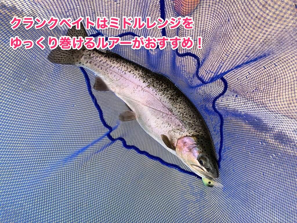 トラウト まさに秘境の地 佐賀県の平之ニジマス釣り堀公園を攻略せよ Aquabit Link