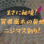 【トラウト】まさに秘境の地。佐賀県の平之ニジマス釣り堀公園を攻略せよ!