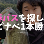 旬の春バスを釣り上げろ！福岡県のリザーバーでスピナベ1本勝負！！