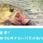 キーワードはミミズ!アフタースポーン時期の増水でもバスを釣る方法!!