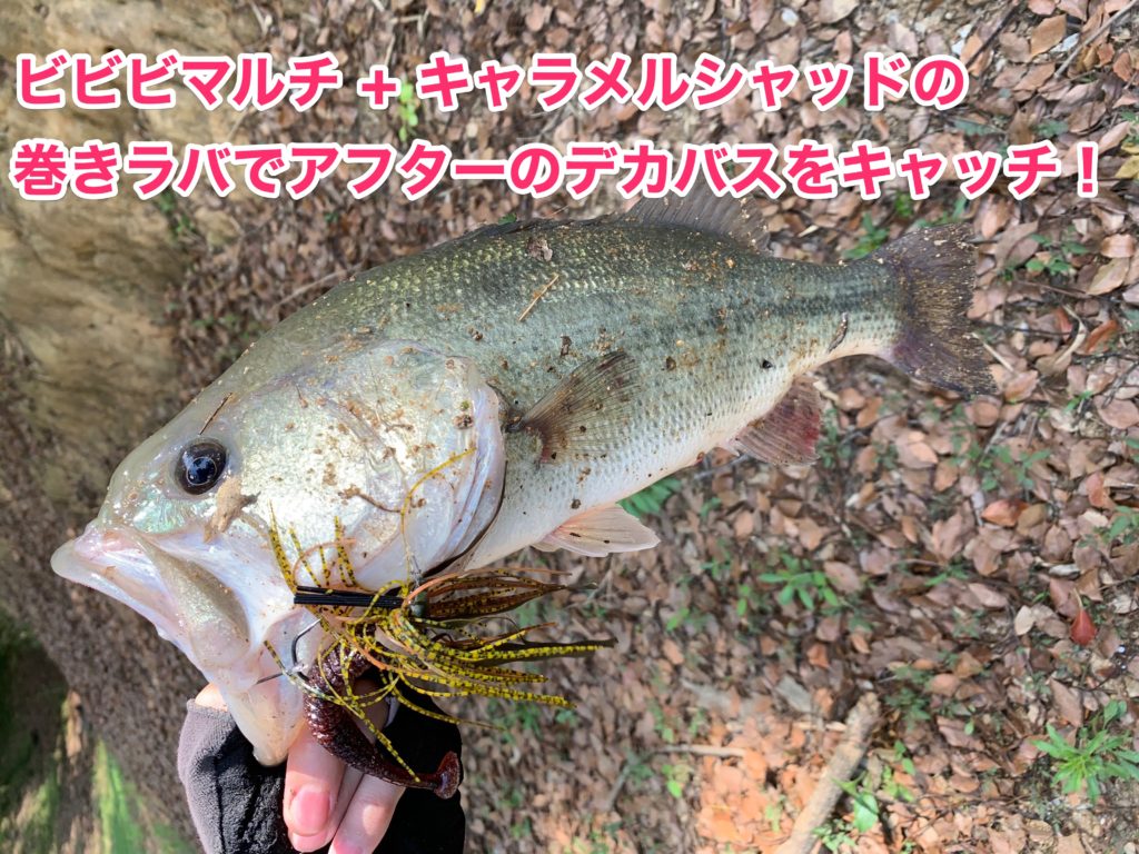 巻きラバでデカバスを釣った