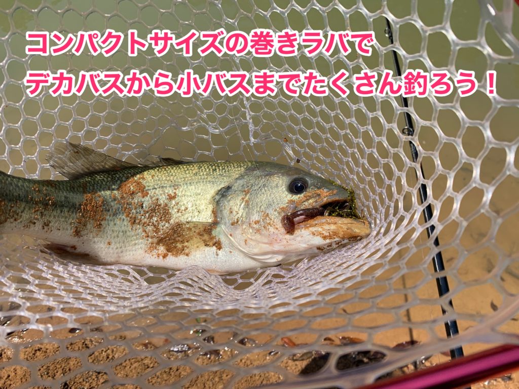 巻きラバで釣れるブラックバス