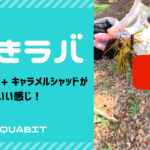 【Youtube】巻きラバでアフターのデカバスが釣れた動画を配信!