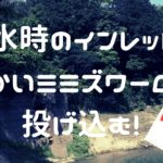 【Youtube】増水中のインレットにデカイミミズワームを投げ込むと・・・