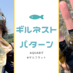 issei沈み蟲の釣れるバックスライドを体感せよ!使い方とセッティングをご紹介!