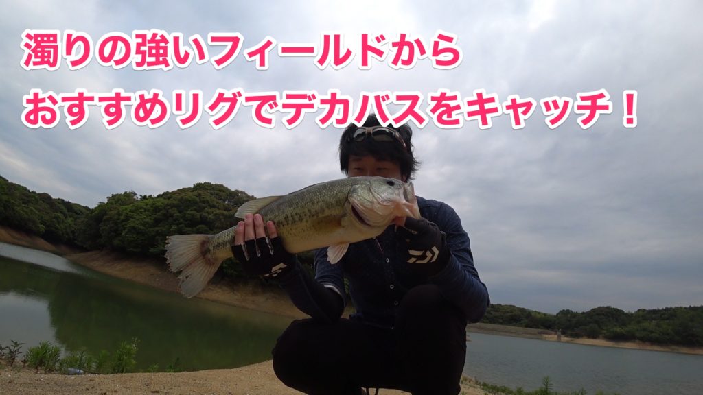 ZAPPUパイルドライバーリグでブラックバスが釣れた