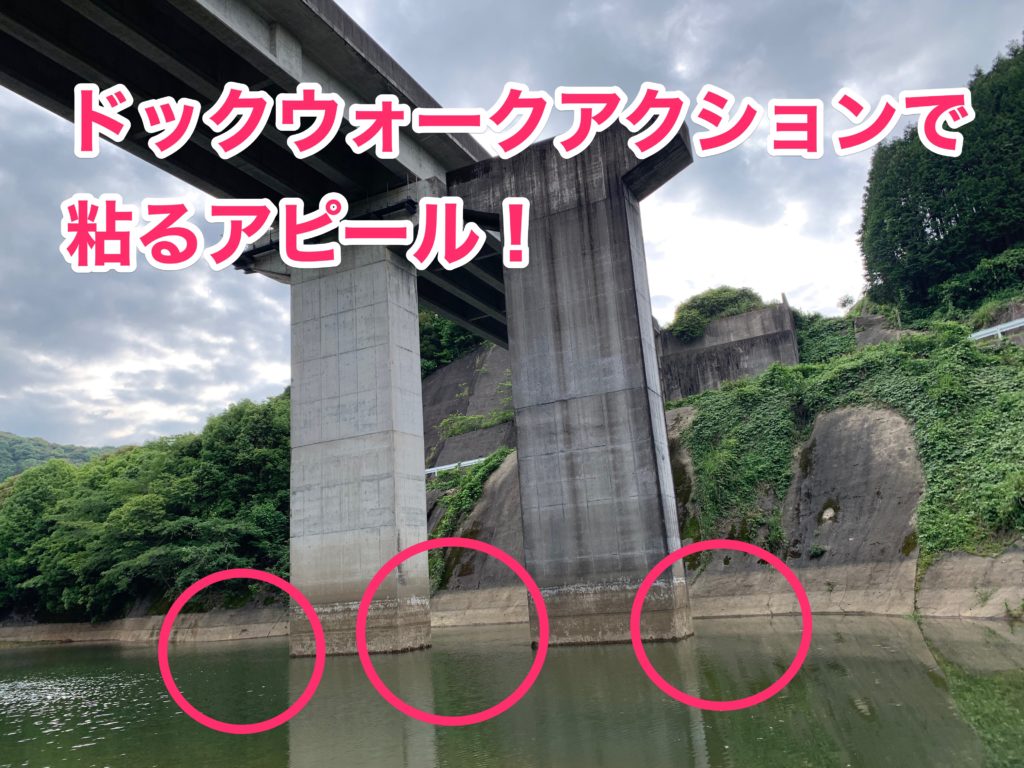 issei沈み蟲ドックウォーク