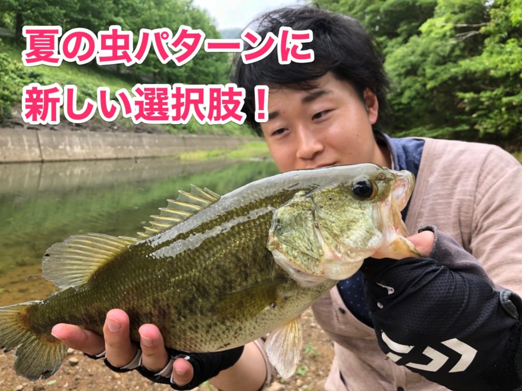 夏の虫パターンissei沈み