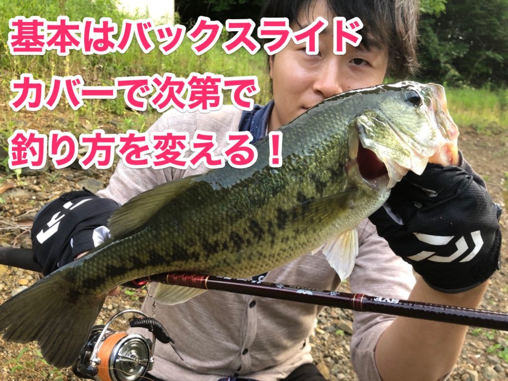 isssei沈み蟲のバスの釣り方