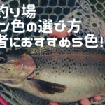 トラウト初心者でもスプーン5色で充分釣れる!管理釣り場おすすめのスプーン色の選び方をご紹介!