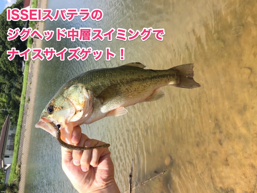 issei スパテラでブラックバス釣る