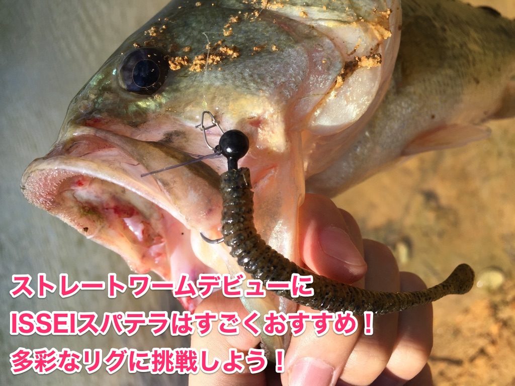 issei スパテラ おすすめ画像2