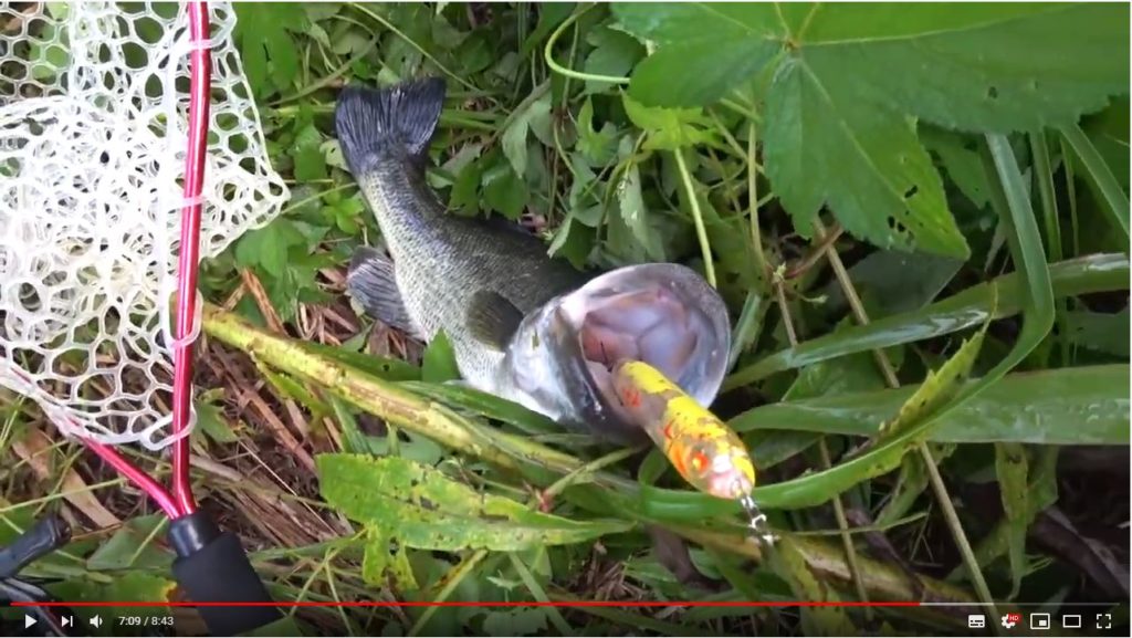 ペンシルベイト講座_3