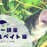 バス釣り 静かに乱し釣れるセイラミノーの使い方 Aquabit Link