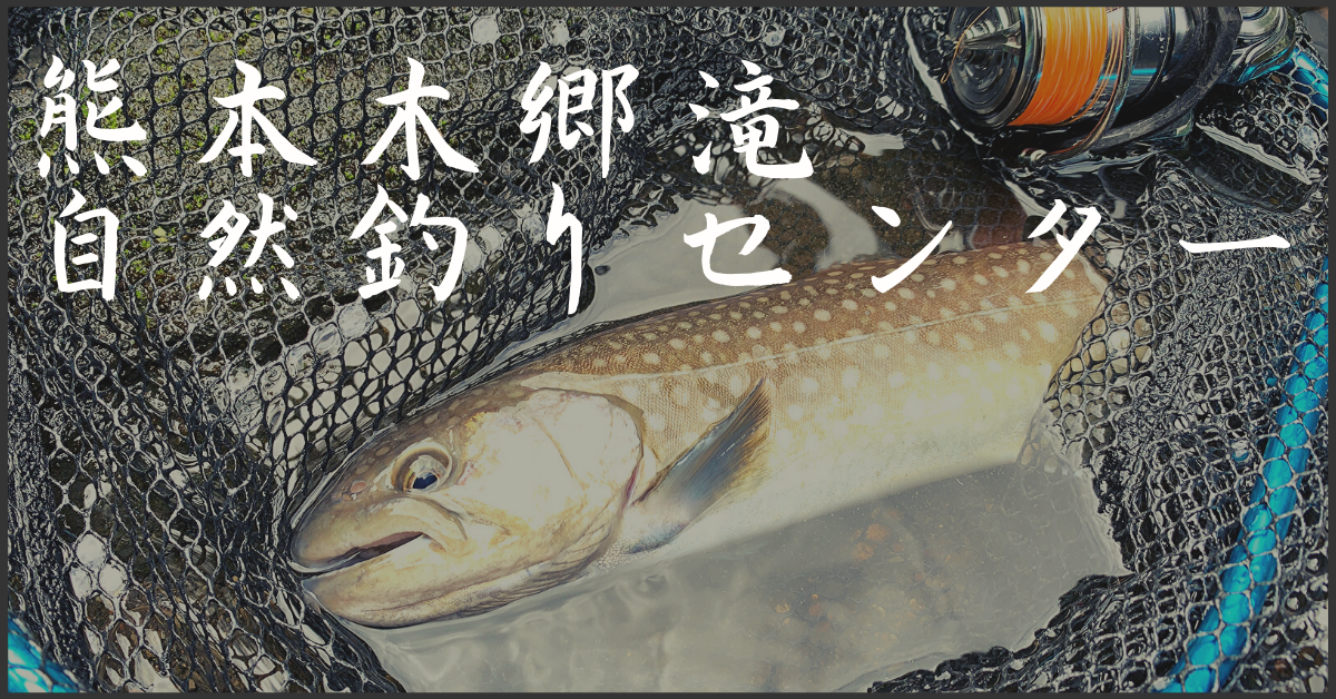 木郷滝自然釣りセンターで釣れるトラウトとおすすめルアーをご紹介 熊本で渓流釣りが楽しめるフィールド Aquabit Link