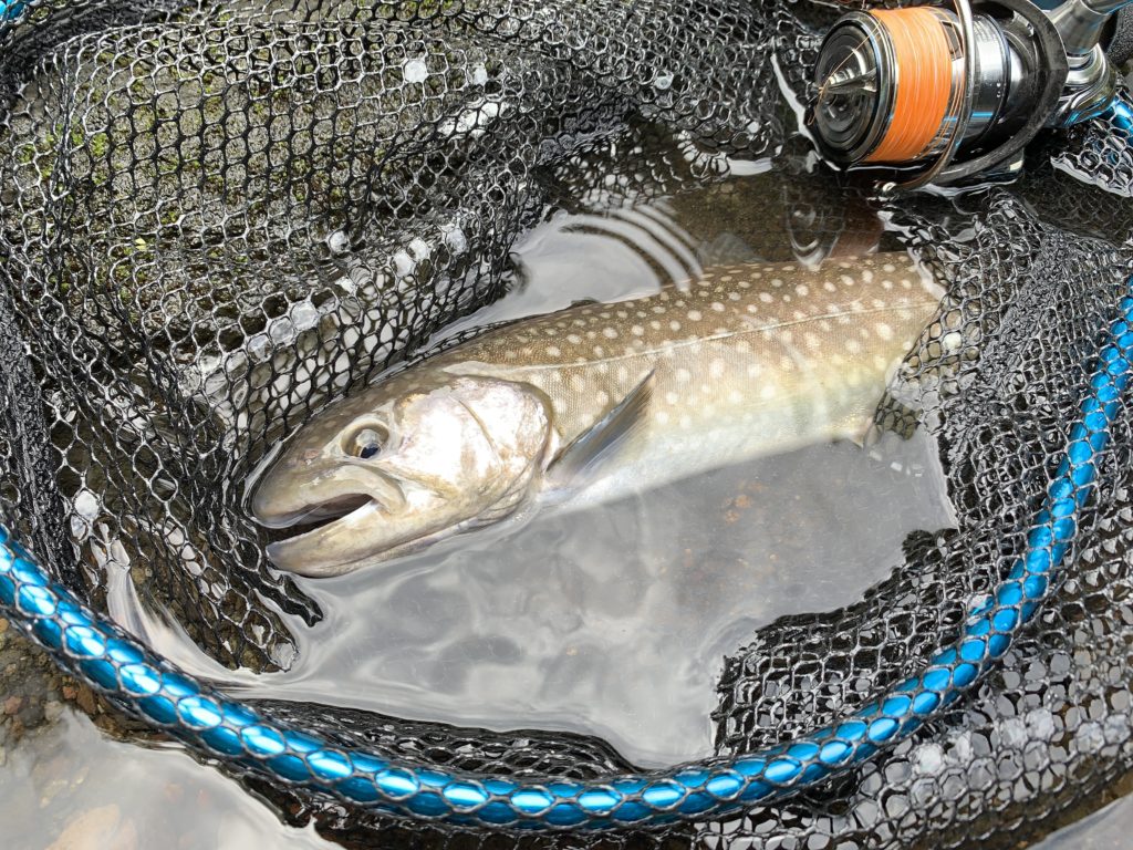 木郷滝自然釣りセンターで熊本の自然渓流を魚釣りで楽しむ トラウトの種類やおすすめルアーもご紹介 Aquabit Link