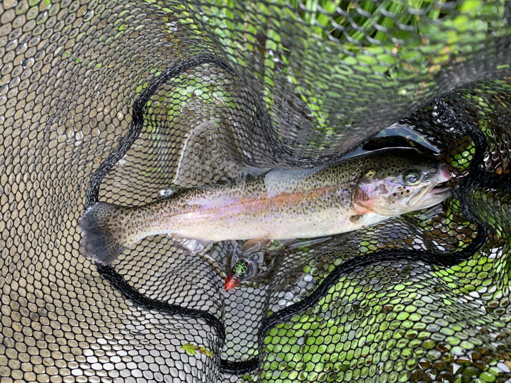 熊本木郷滝釣りセンター ルアー画像3