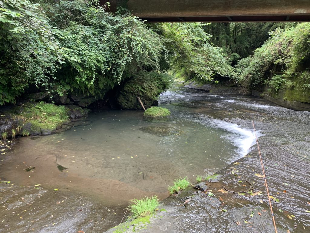 熊本木郷滝釣りセンターの様子