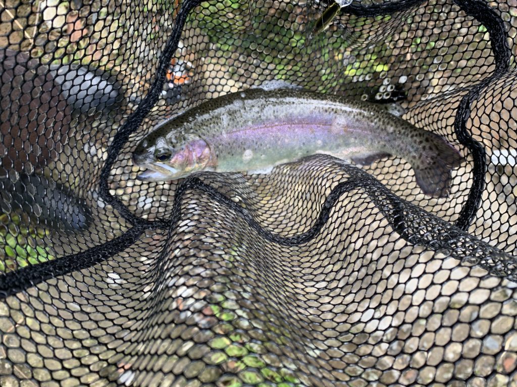熊本木郷滝釣りセンター ルアー画像1