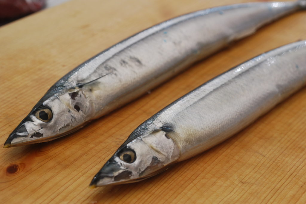 サンマを選ぶ3つの方法_1