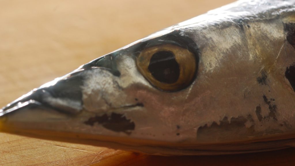 サンマを選ぶ3つの方法_2