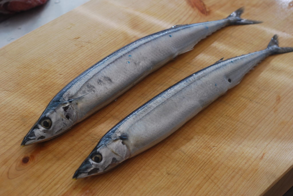 サンマを選ぶ3つの方法_3