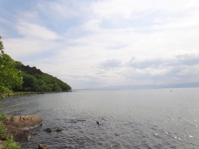 琵琶湖の珍しい魚の画像