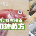 魚の締め方を初心者向けに解説!魚を新鮮に持ち帰れる3つの簡単な締め方と道具をご紹介