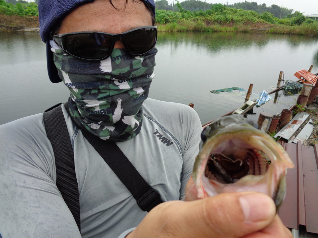 霞ケ浦・北浦のバス釣りでおすすめのルアーとリグ