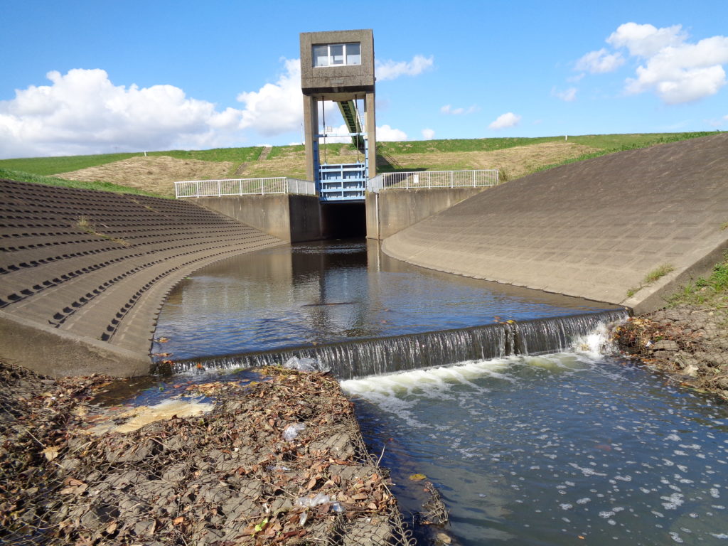 秋の利根川水系のバス釣りを地元アングラーが徹底解説 おすすめルアー リグとエリアもご紹介 Aquabit Link