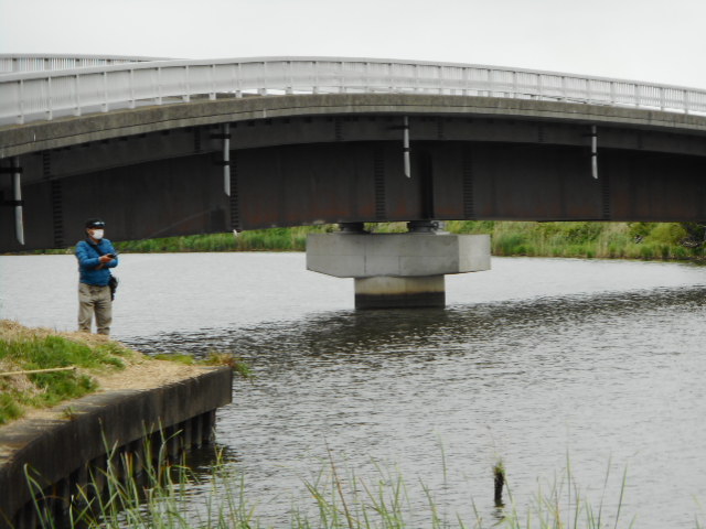 霞ケ浦と北浦の違い