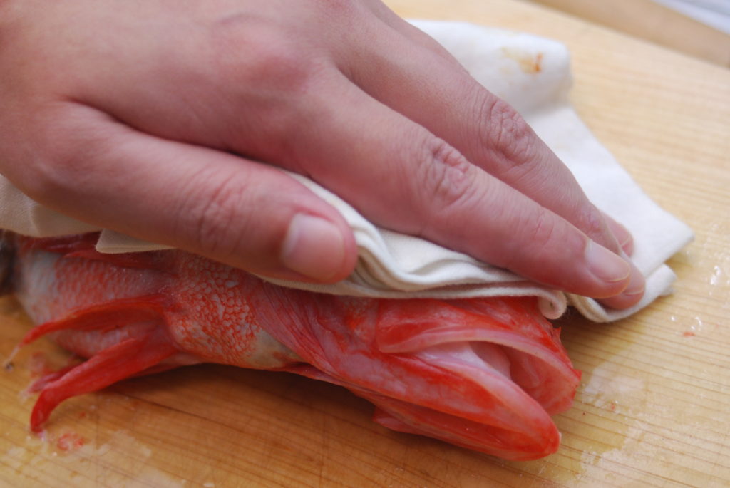 魚の神経締め_タオルで魚をおさえる