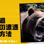 北海道で釣りするなら熊対策しないと自殺行為! 遭遇しない方法と撃退道具もご紹介