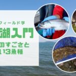 琵琶湖のすごさと珍しい魚をご紹介!日本でいちばん大きな湖の秘密に迫る