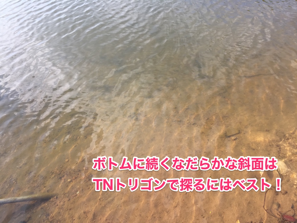 ジャッカルTNトリゴン_画像3