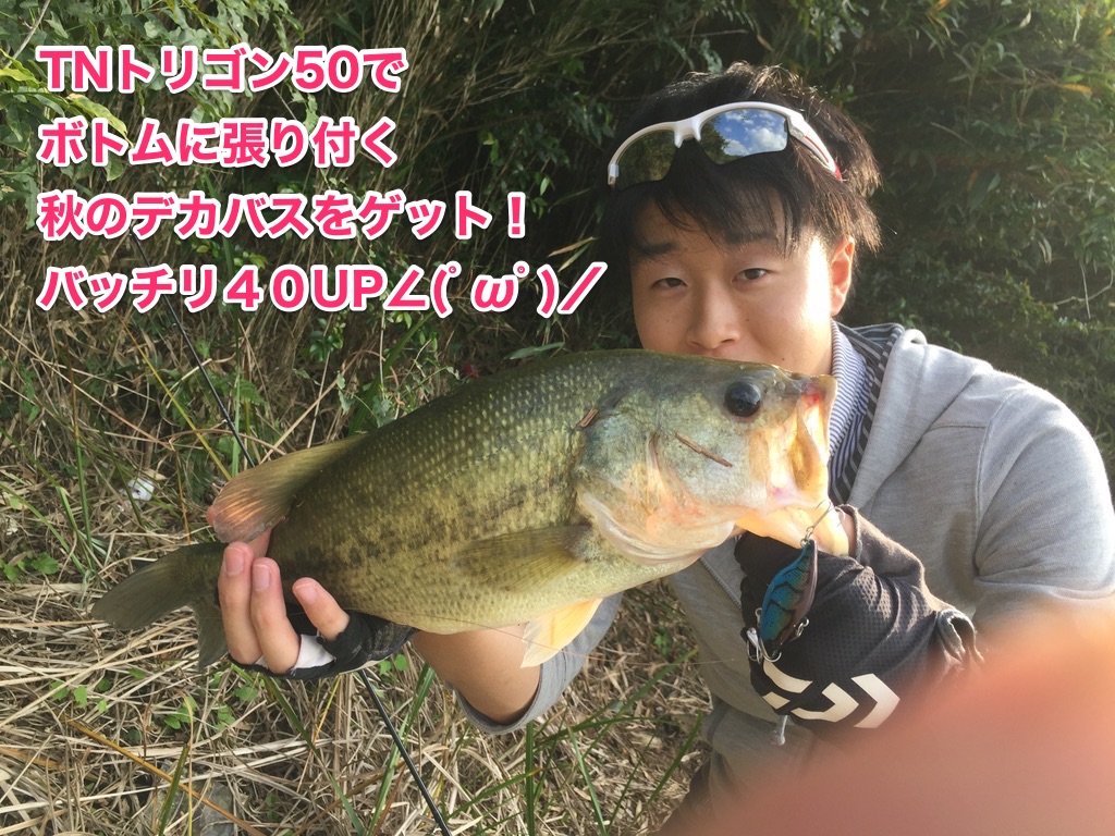 ジャッカルTNトリゴン_画像4