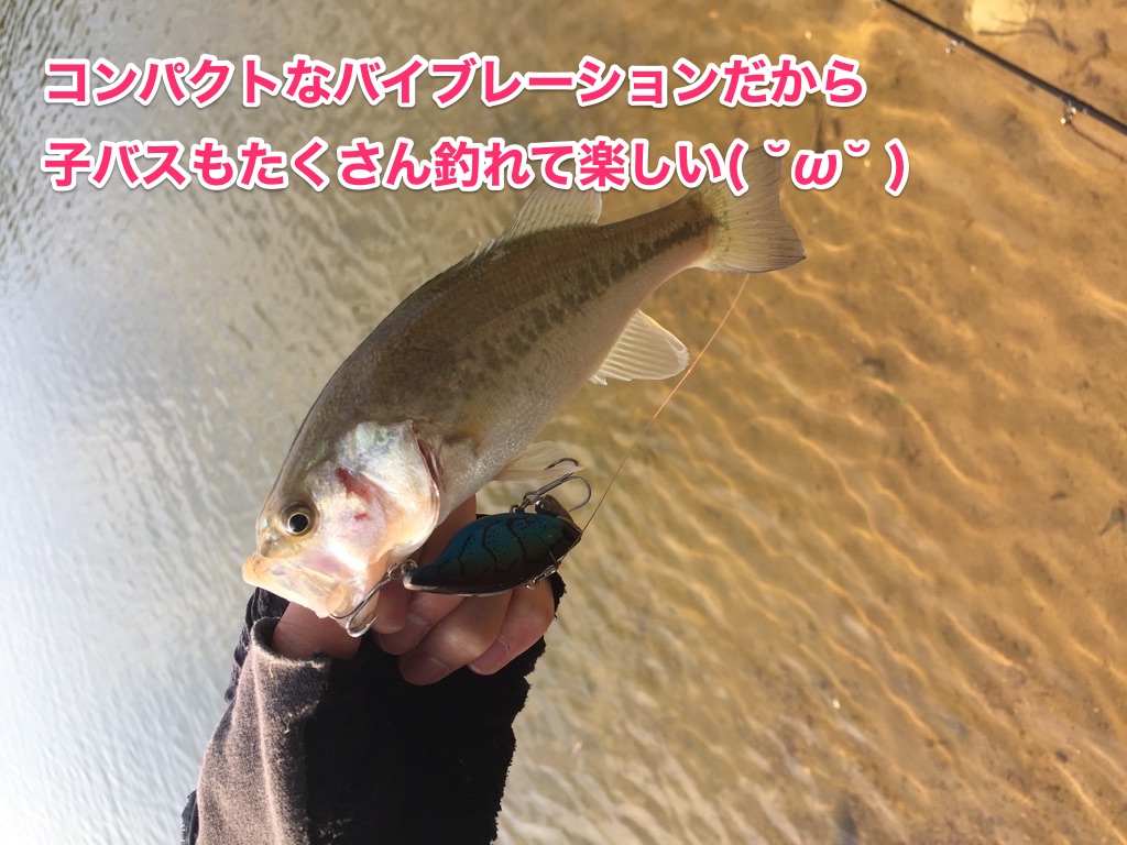 ジャッカルTNトリゴン_画像5