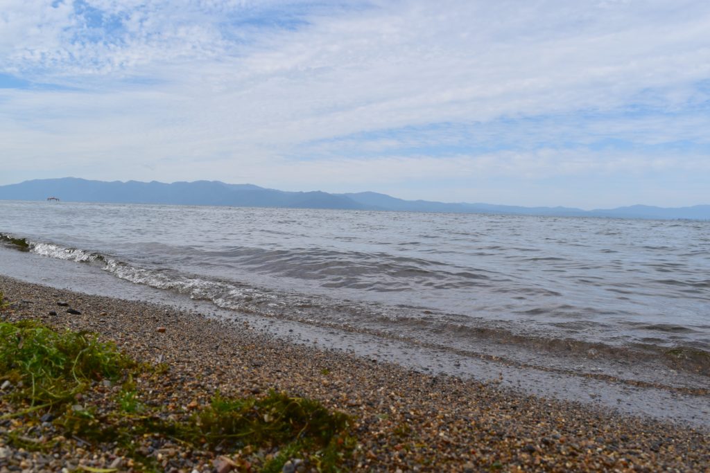 巨大なブラックバスを育む琵琶湖の画像