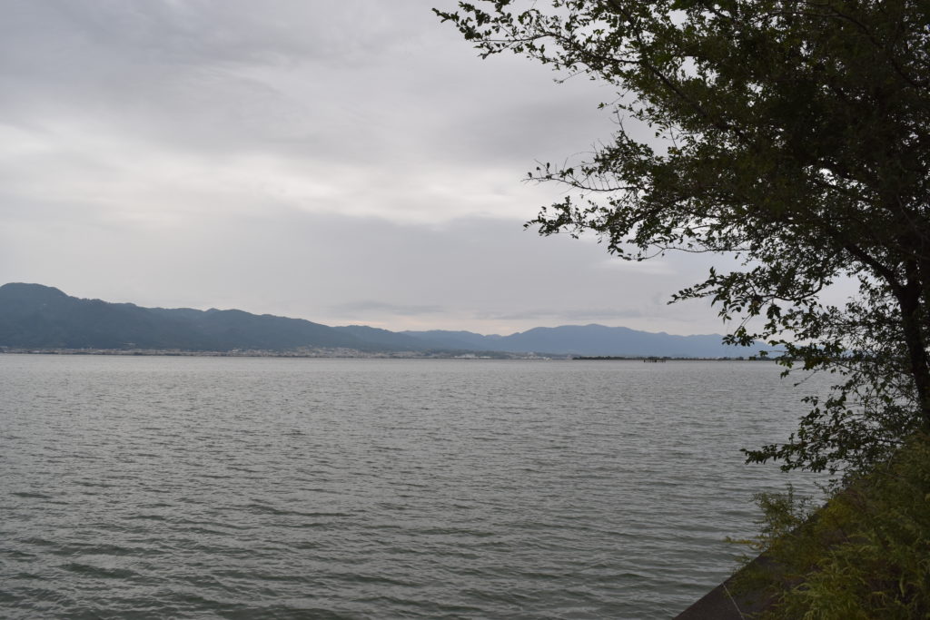 琵琶湖の秋バス釣りおすすめエリア_南湖東岸のウィードエリアの画像