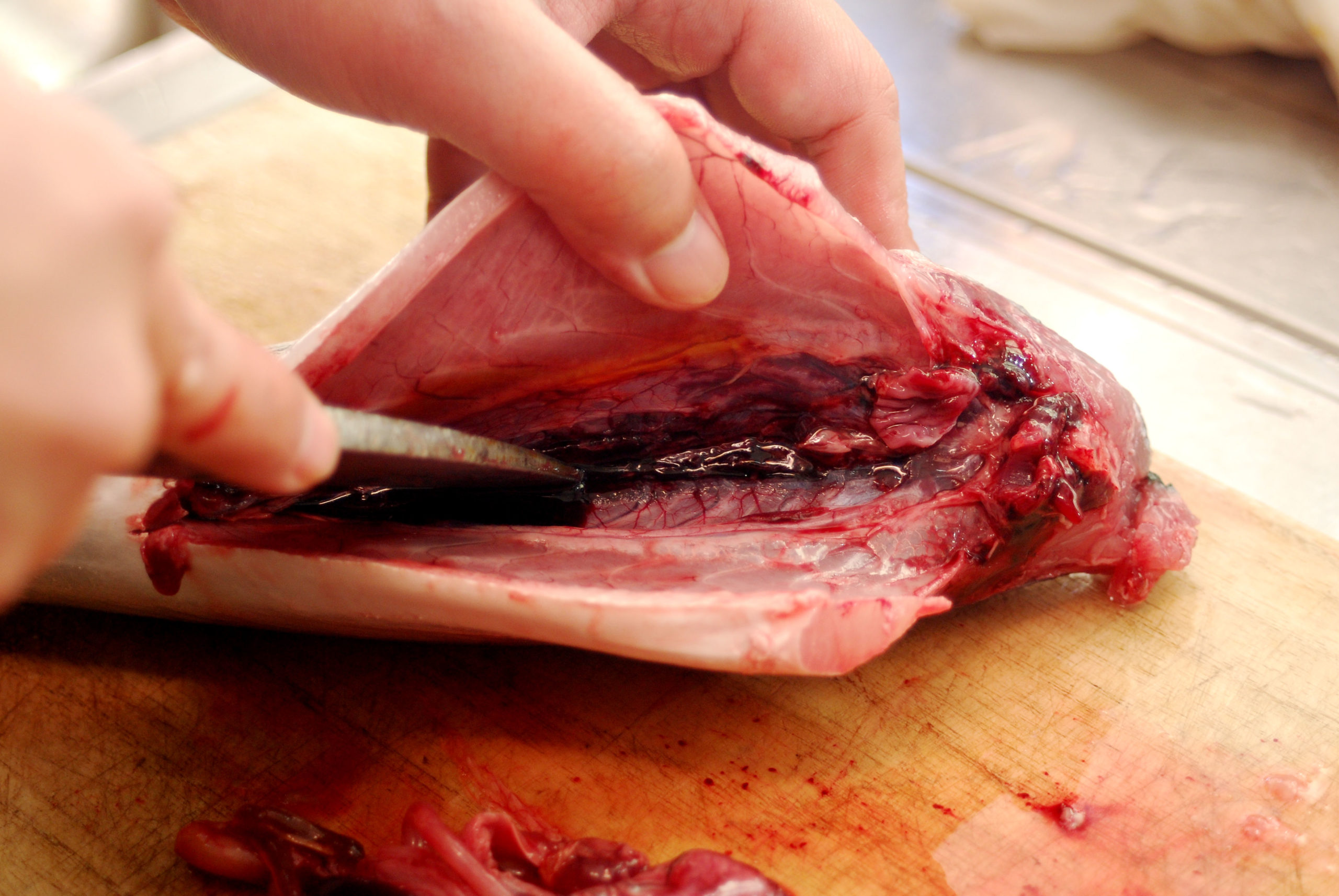 魚の三枚おろし_内臓処理