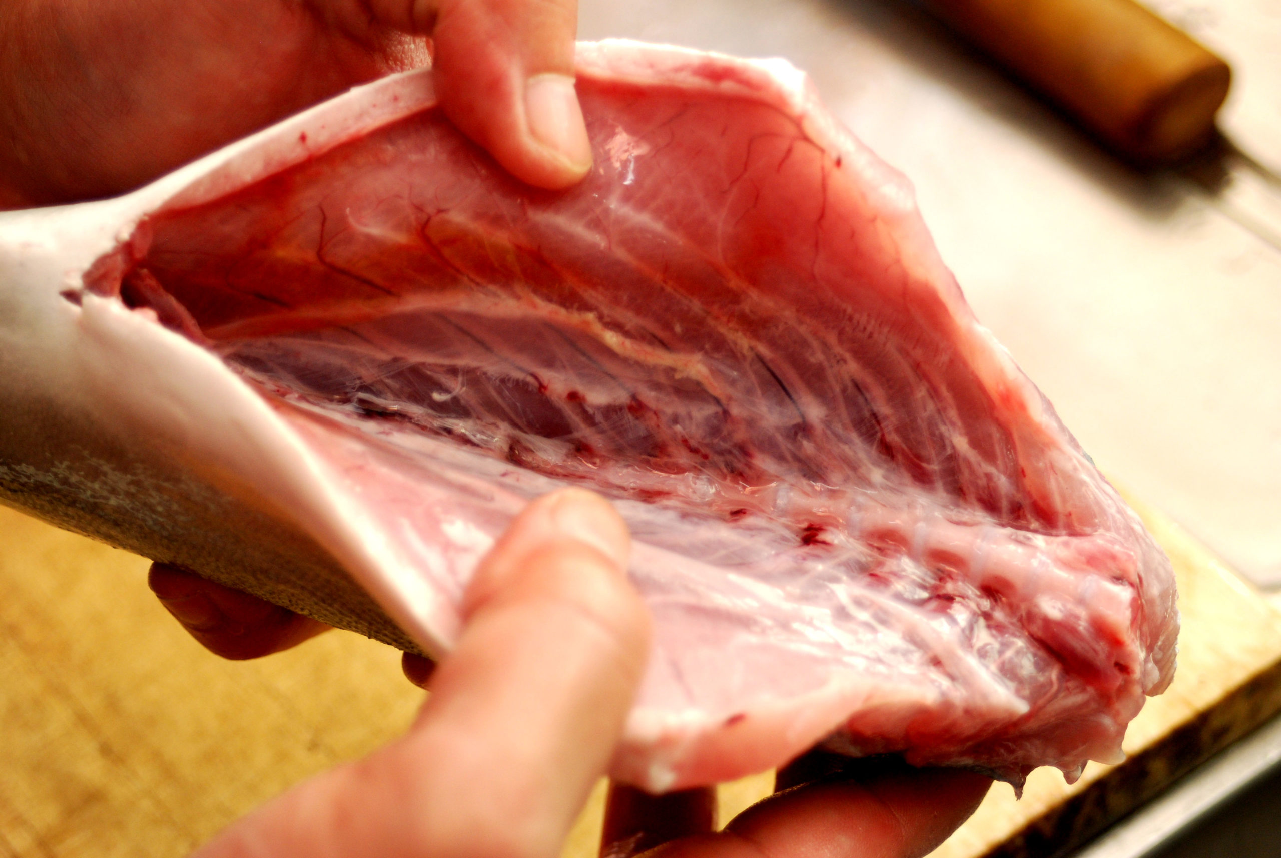 魚の三枚おろし_血合い処理