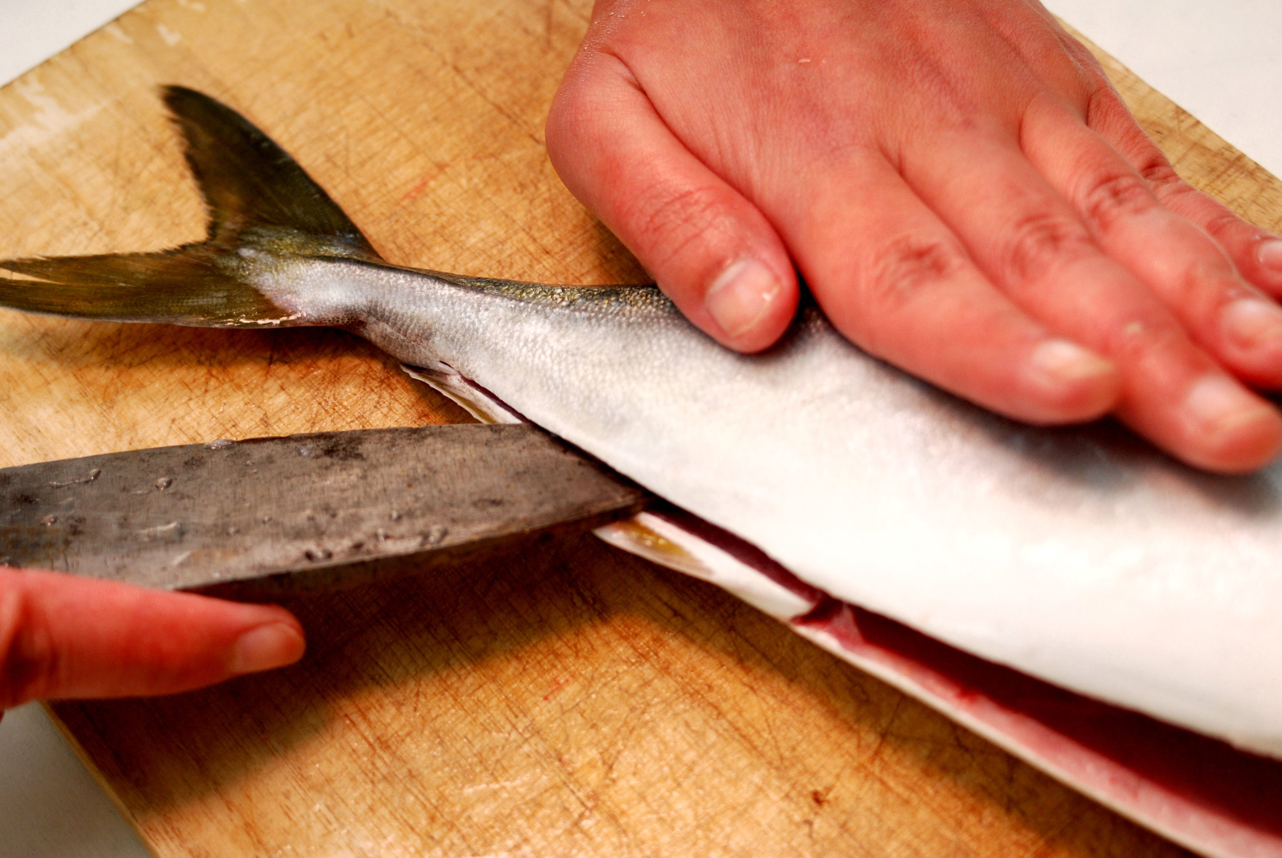 魚の三枚おろし_包丁の入れ方