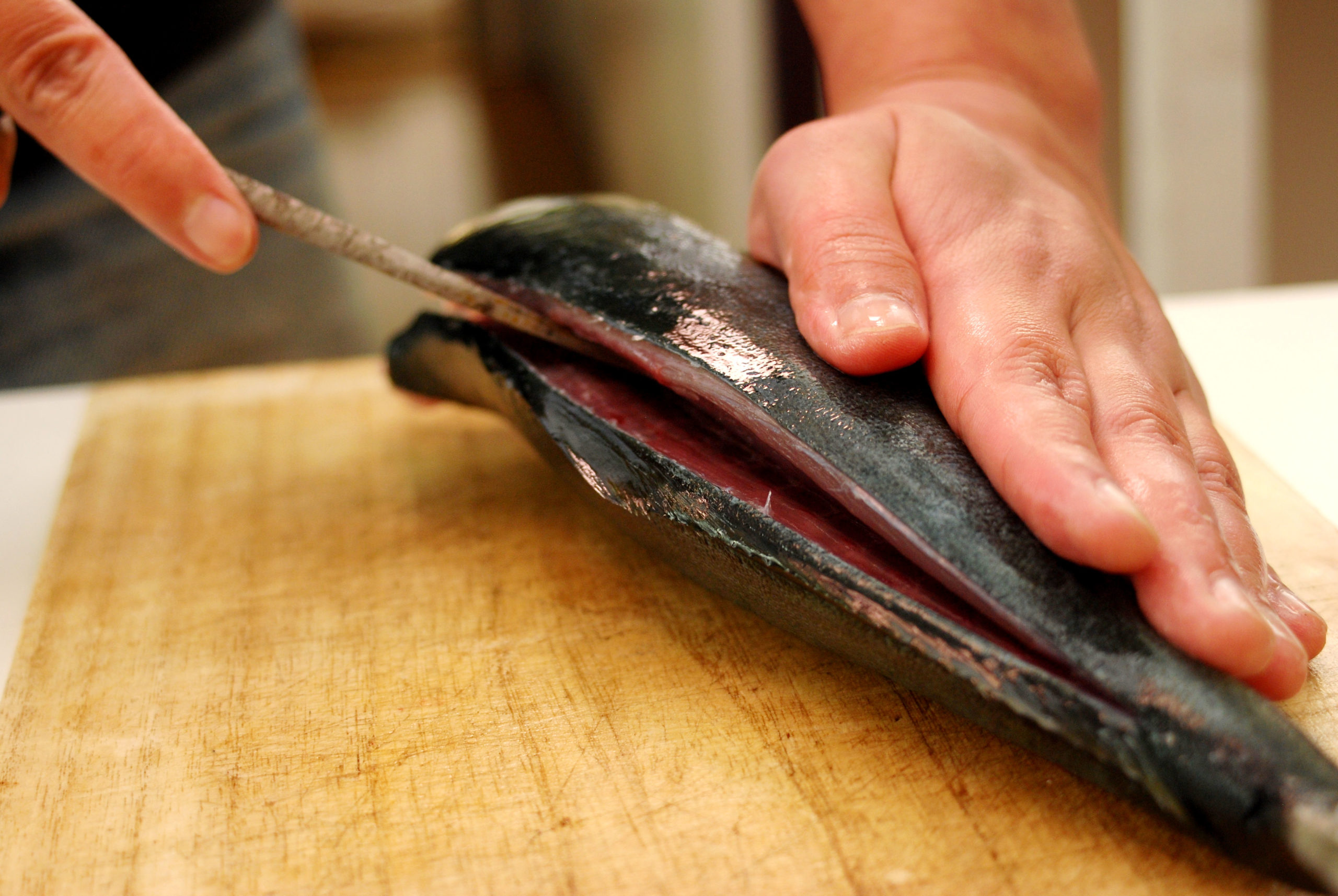 魚の三枚おろし_背骨に沿って包丁を入れる