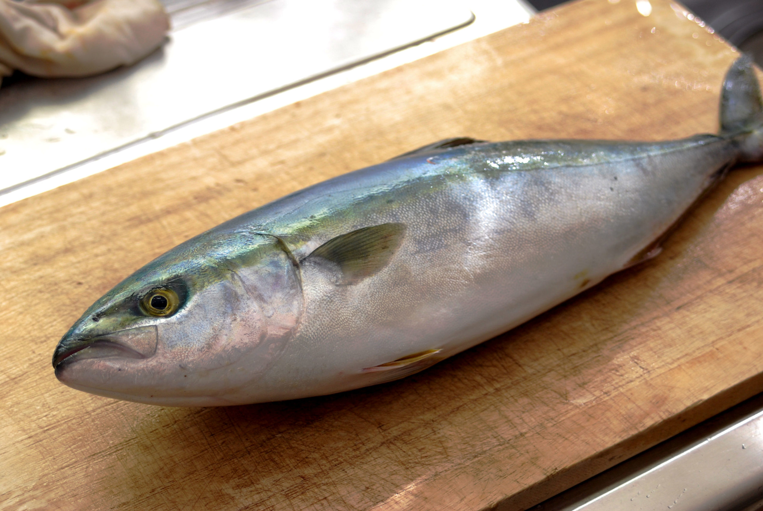 魚の三枚おろしの手順は初心者でも難しくない 料理ライターが調理基礎をやさしく解説 Aquabit Link