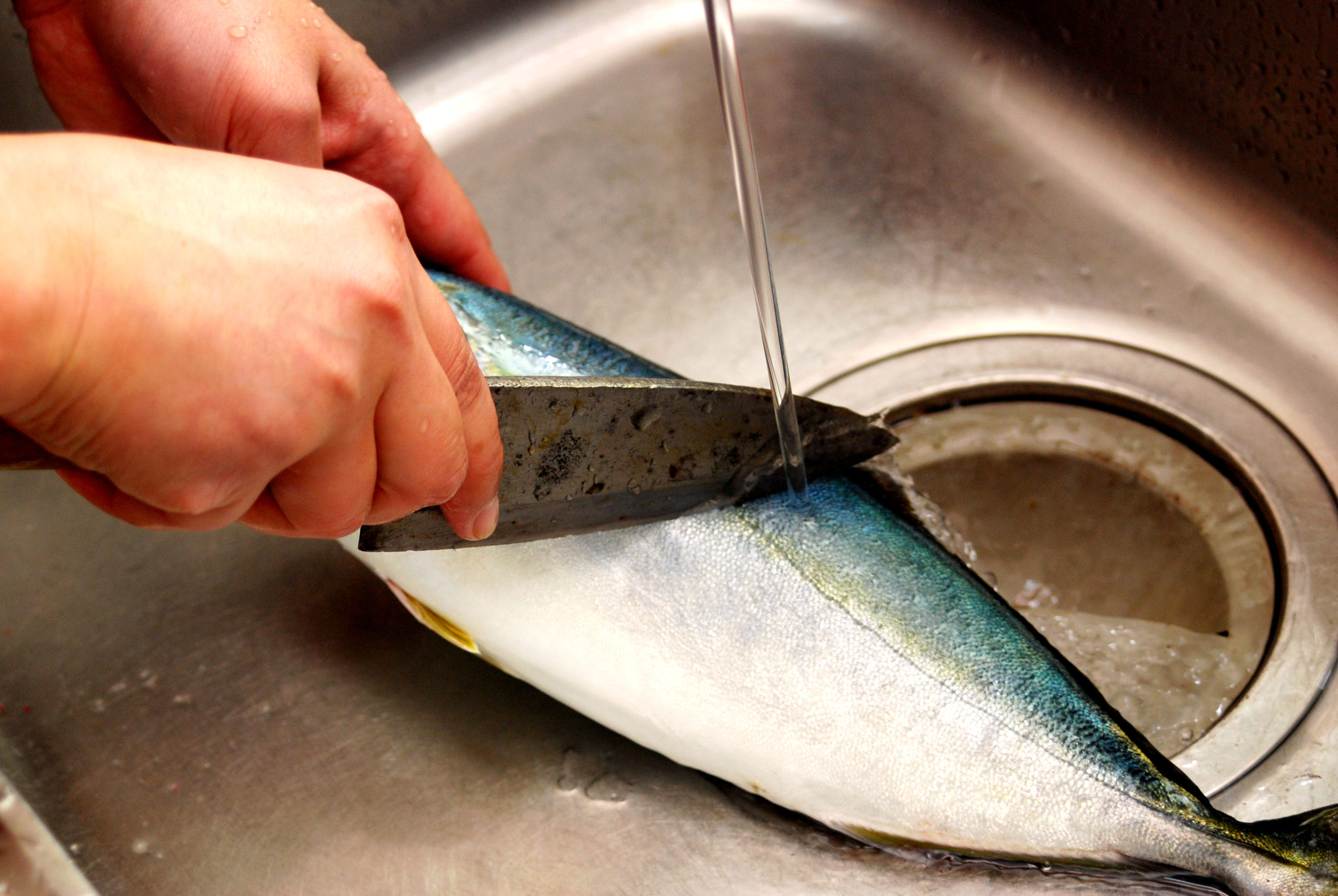魚の三枚おろし手順_うろこ落とし