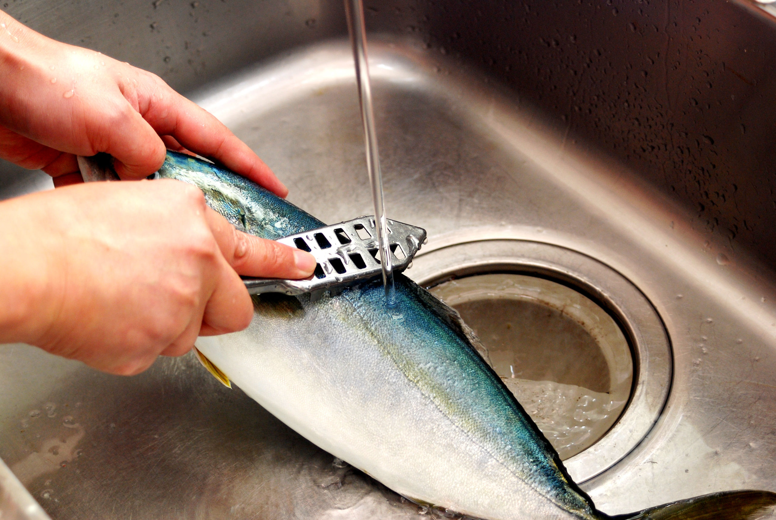 魚の三枚おろしの手順画像