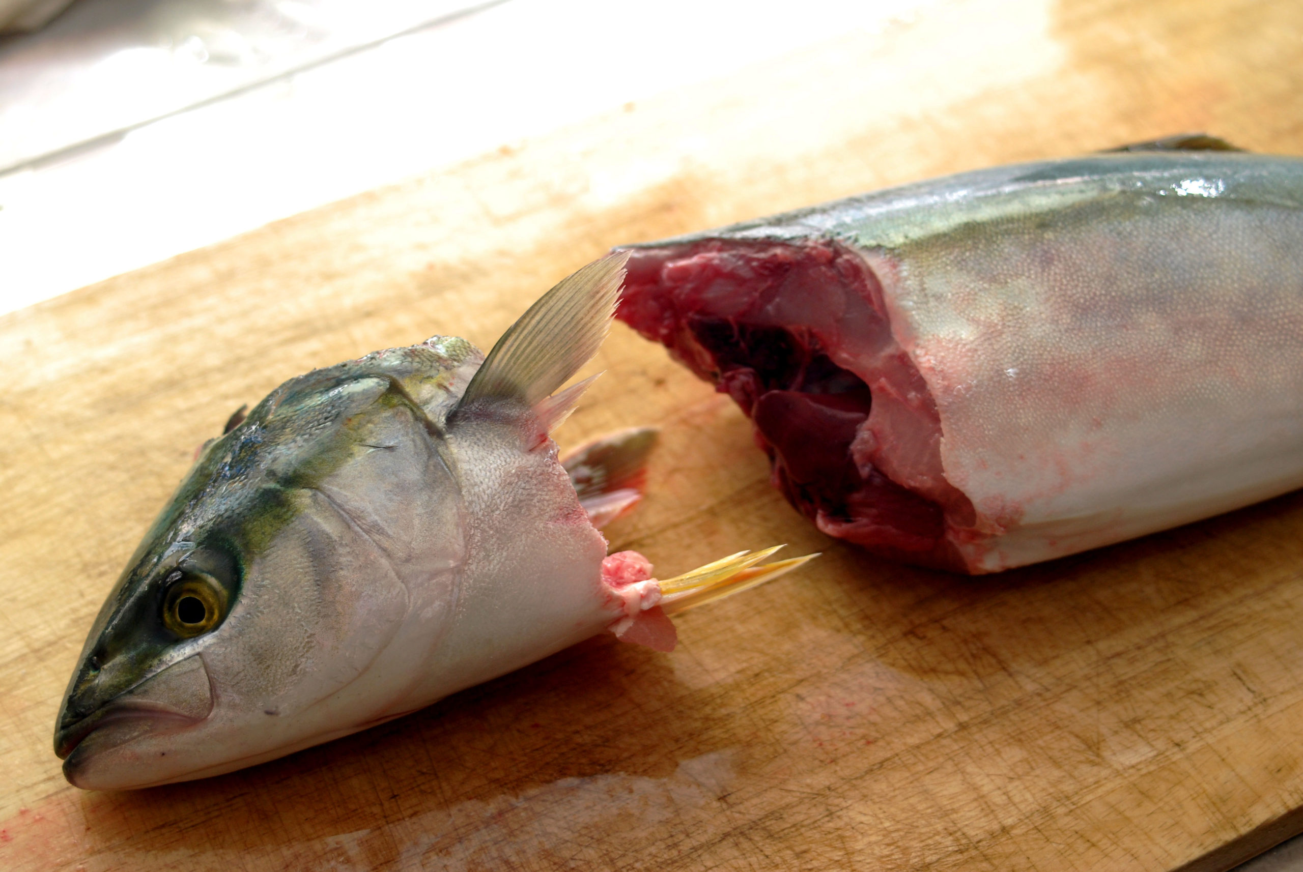 魚の三枚おろし_出刃包丁の必要性