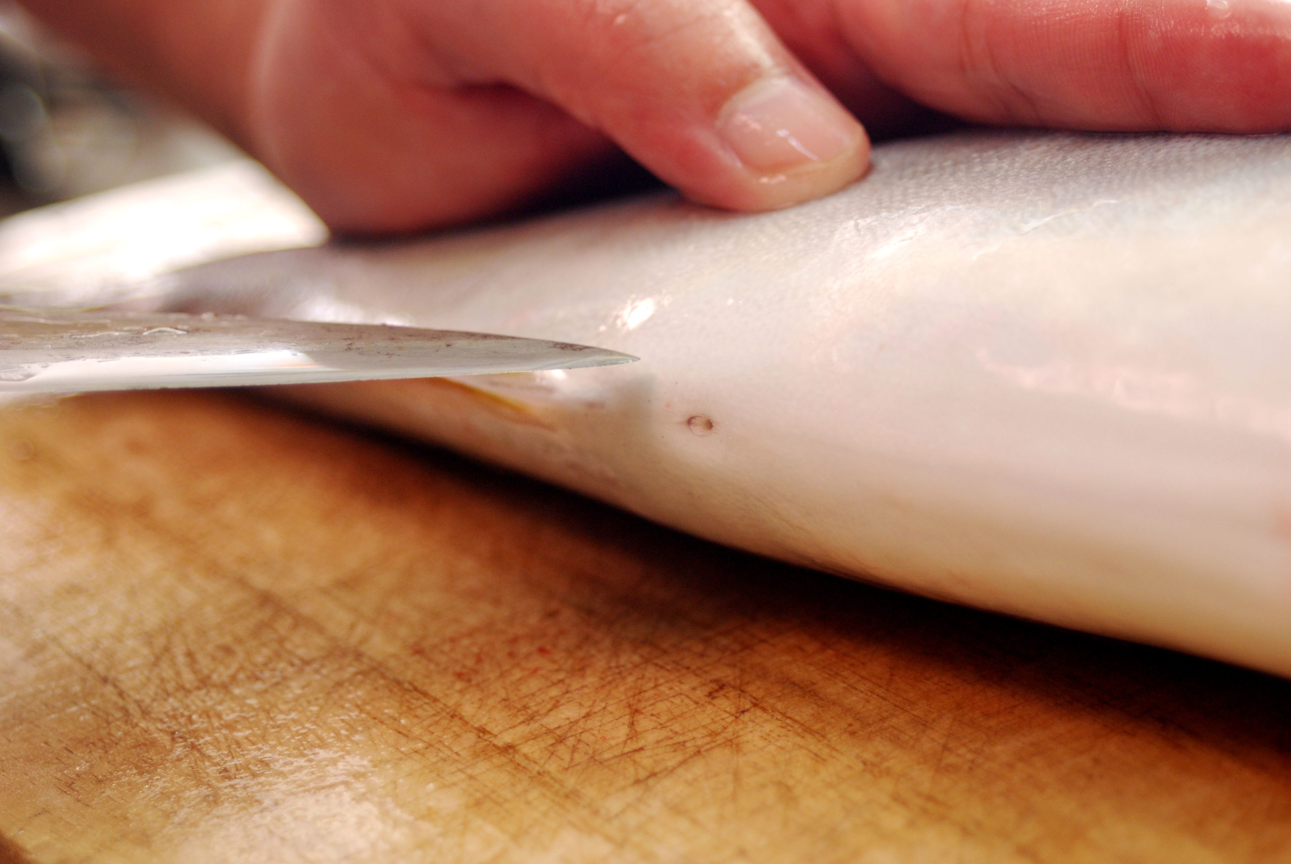 魚の三枚おろし手順_内蔵を取り除く
