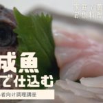 魚の熟成方法を初心者向けに解説!家庭でも3日で魚のうま味を最大限に引出す仕込み方