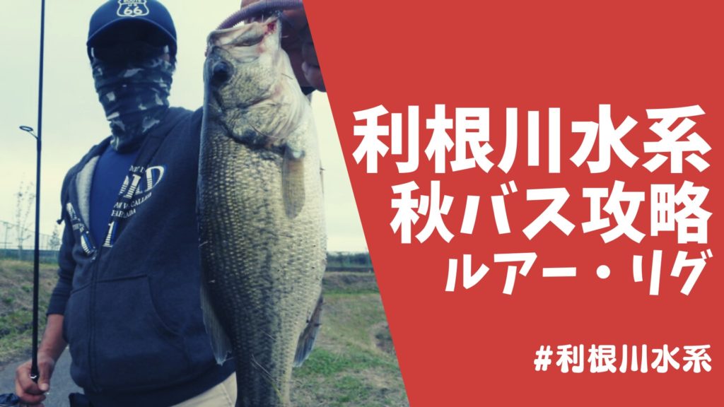 利根川水系_秋バス攻略記事のサムネイル
